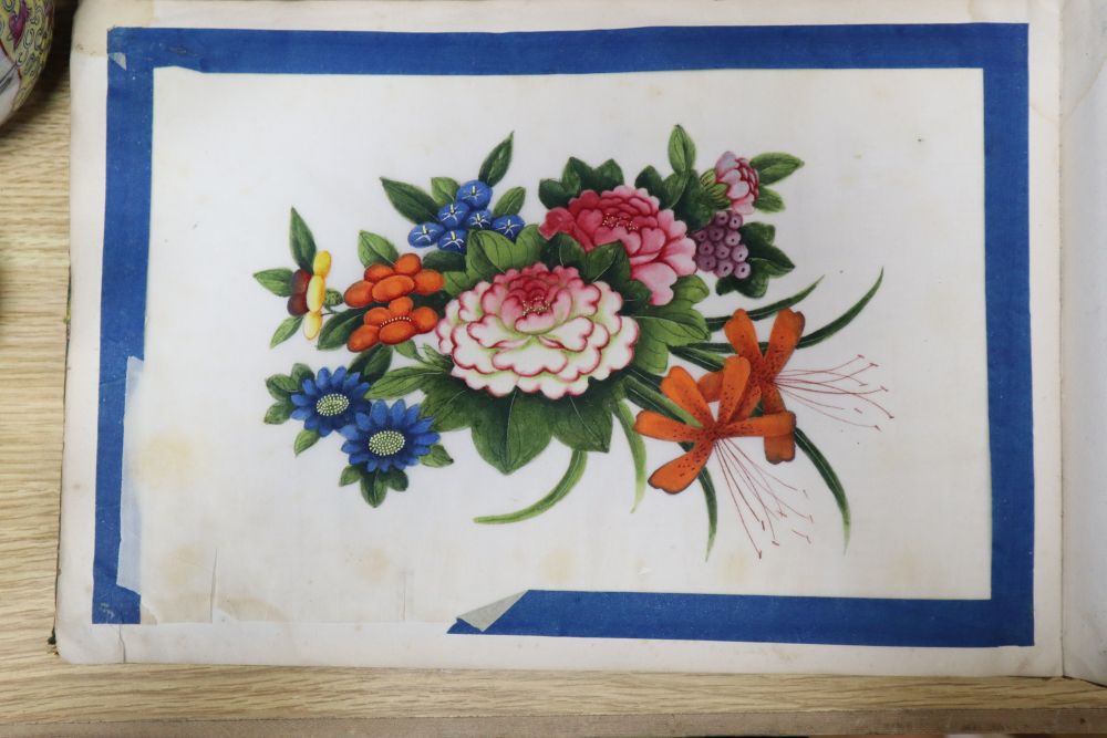 A 19th century Cantonese album of botanical studies on pith paper